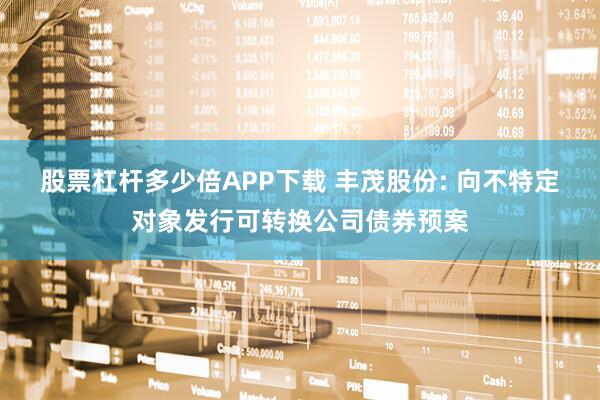 股票杠杆多少倍APP下载 丰茂股份: 向不特定对象发行可转换公司债券预案