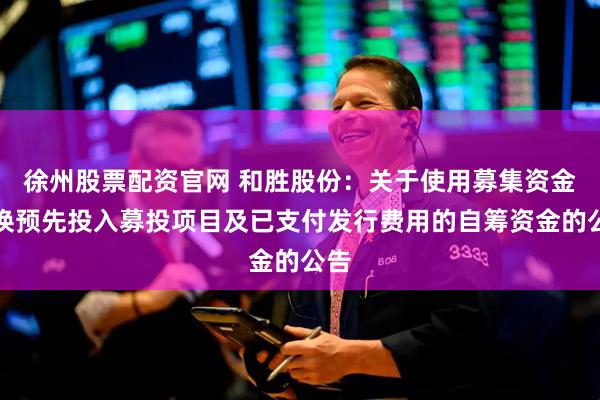 徐州股票配资官网 和胜股份：关于使用募集资金置换预先投入募投项目及已支付发行费用的自筹资金的公告