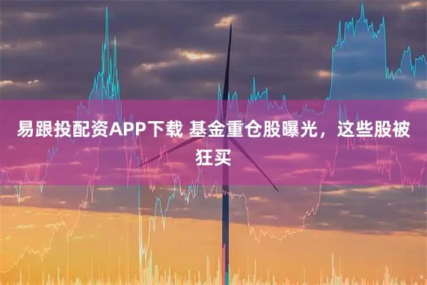 易跟投配资APP下载 基金重仓股曝光，这些股被狂买